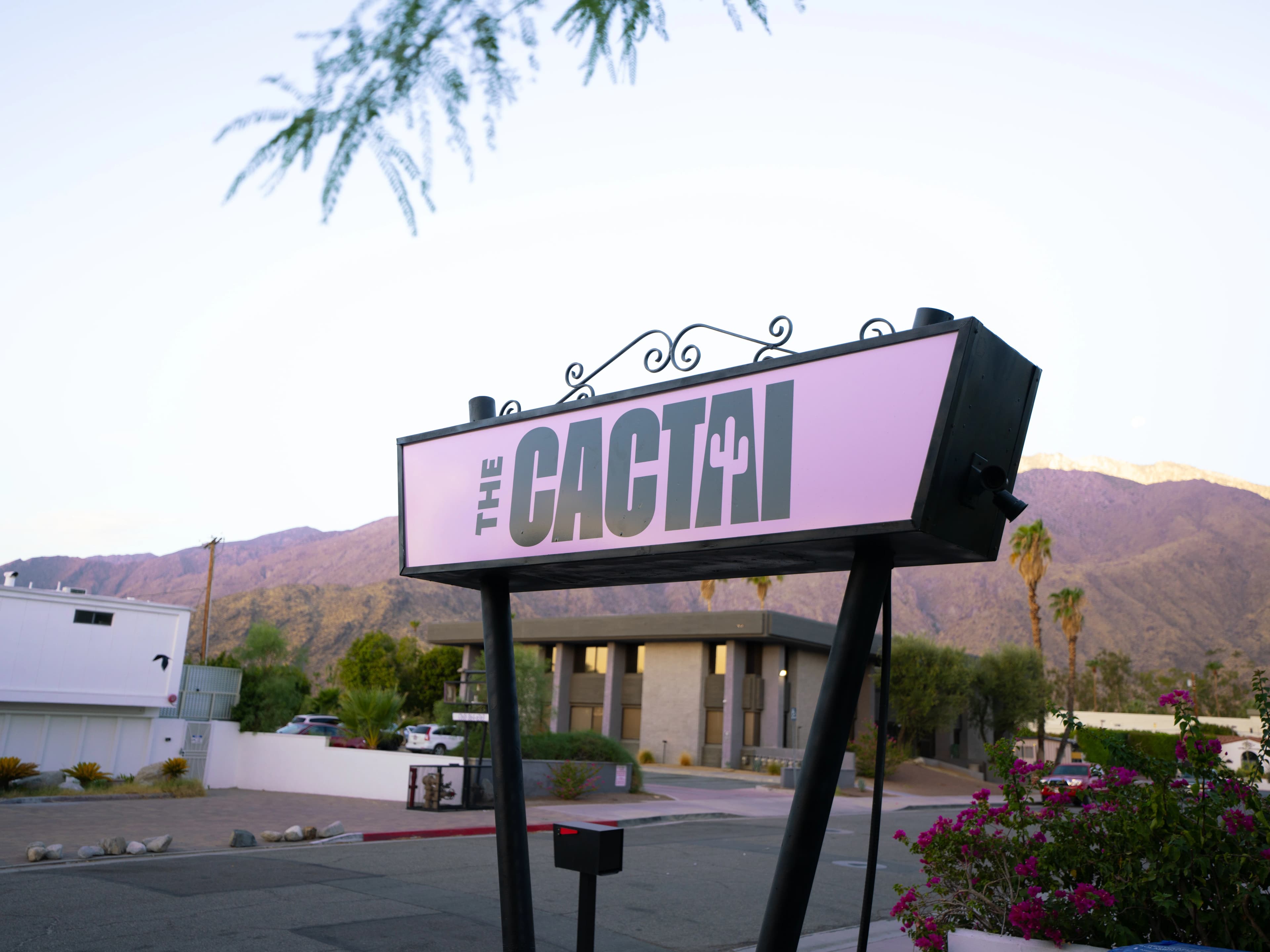 Image of The Cactai